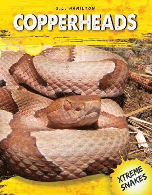 bokomslag Copperheads