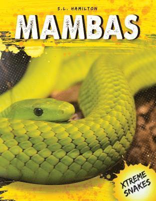 bokomslag Mambas