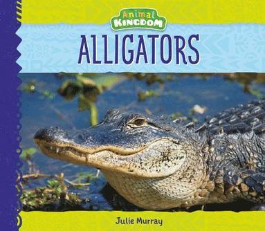 bokomslag Alligators