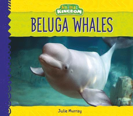 Beluga Whales 1