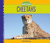 bokomslag Cheetahs