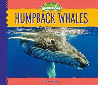 bokomslag Humpback Whales