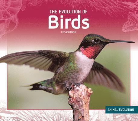 Carol Hand - Evolution of Birds, Inbunden