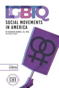 bokomslag LGBTQ Social Movements in America