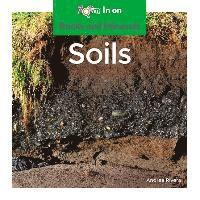 bokomslag Soils