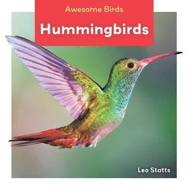 bokomslag Hummingbirds