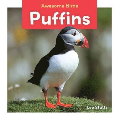 bokomslag Puffins