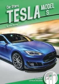 bokomslag Tesla Model S
