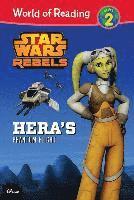 Star Wars Rebels: Hera's Phantom Flight: Hera's Phantom Flight