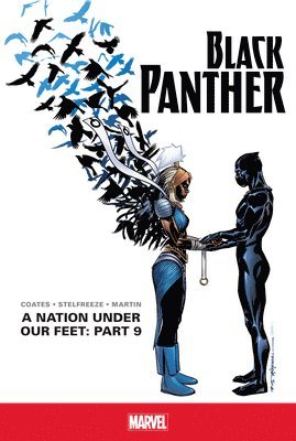Ta-Nehisi Coates - Nation Under Our Feet: Part 9, Inbunden