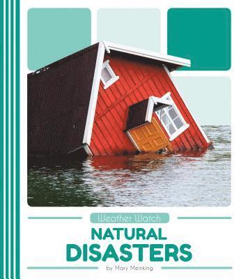 Mary Meinking - Natural Disasters, Inbunden