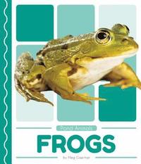bokomslag Frogs