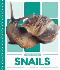 bokomslag Snails