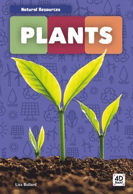 Lisa Bullard - Plants, Inbunden