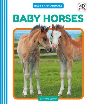 Baby Horses 1