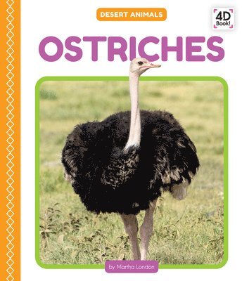 Martha London - Ostriches, Inbunden