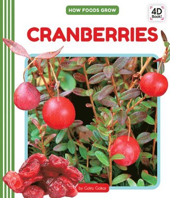 Golriz Golkar - Cranberries, Inbunden
