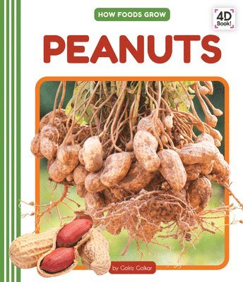 Golriz Golkar - Peanuts, Inbunden