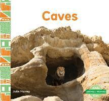 Julie Murray - Caves, Inbunden