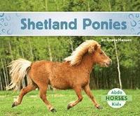 bokomslag Shetland Ponies