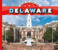 bokomslag Delaware