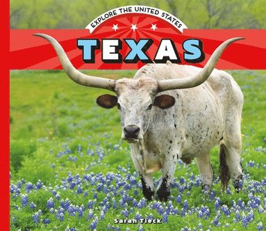 bokomslag Texas