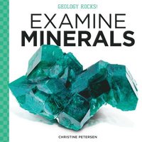 bokomslag Examine Minerals