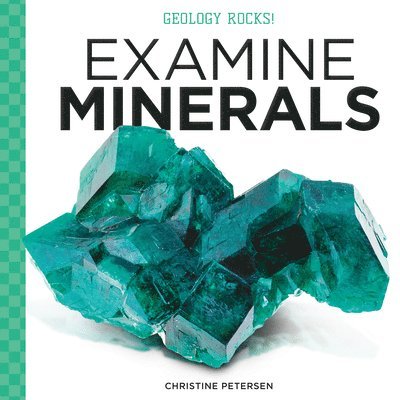Christine Petersen - Examine Minerals, Inbunden