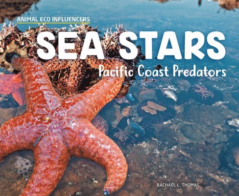 Sea Stars: Pacific Coast Predators 1