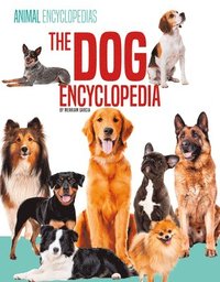 bokomslag Dog Encyclopedia