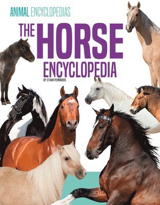 bokomslag Horse Encyclopedia