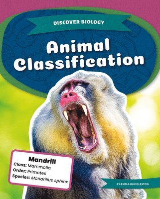 Emma Huddleston - Animal Classification, Inbunden