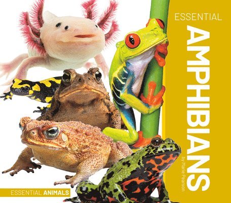 Essential Amphibians