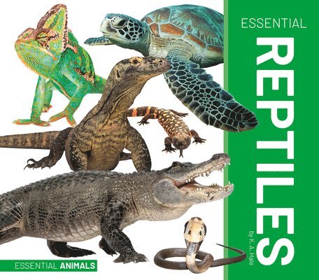 K. A. Hale - Essential Reptiles, Inbunden