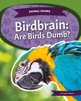Laura Perdew - Birdbrain: Are Birds Dumb?, Inbunden