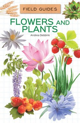 Flowers and Plants
