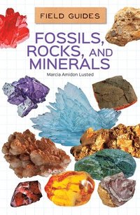 bokomslag Fossils, Rocks, and Minerals