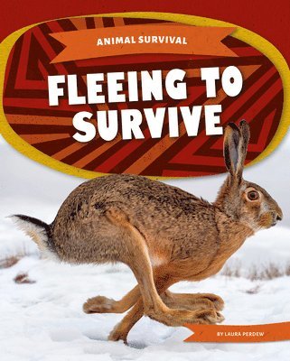 Fleeing to Survive 1