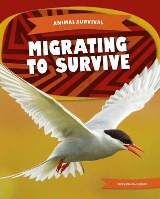 Clara MacCarald - Migrating to Survive, Inbunden