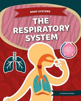 bokomslag Respiratory System