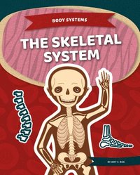 bokomslag Skeletal System