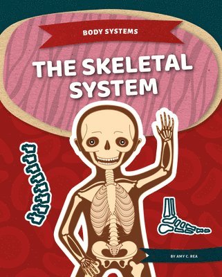 The Skeletal System 1