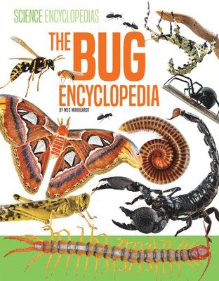 Meg Marquardt - Bug Encyclopedia, Inbunden