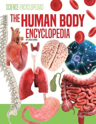 bokomslag The Human Body Encyclopedia