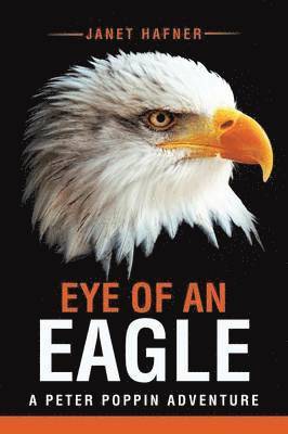 Eye of an Eagle 1