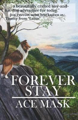 bokomslag Forever Stay