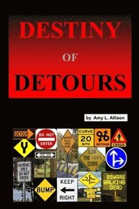 bokomslag Destiny of Detours