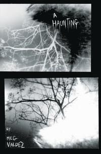 bokomslag Haunting