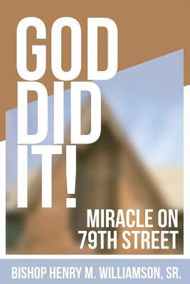 bokomslag God Did It