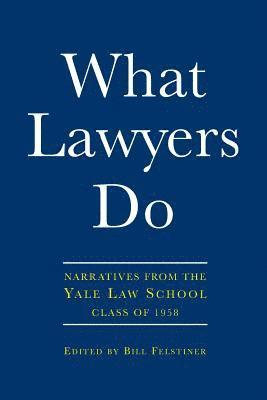 What Lawyers Do 1